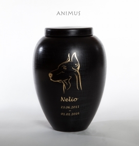 Animus_TN_1