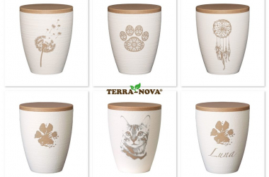 Terra-Nova Bild